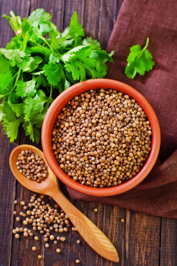 Coriander | Flavourful Salt Alternatives