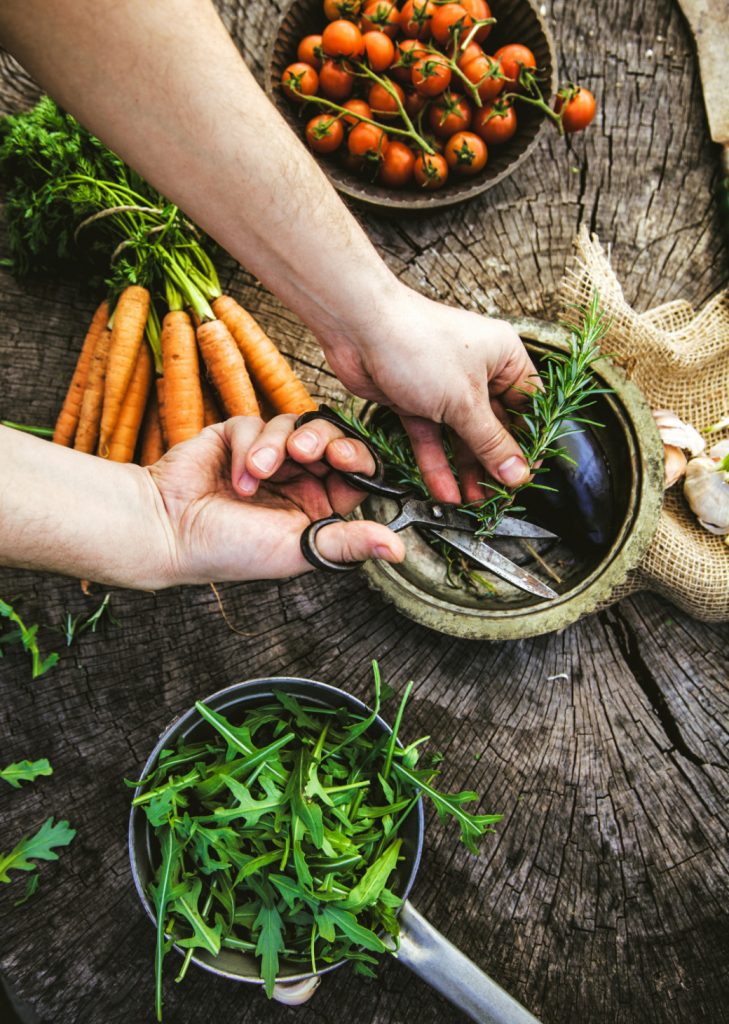 kitchen garden