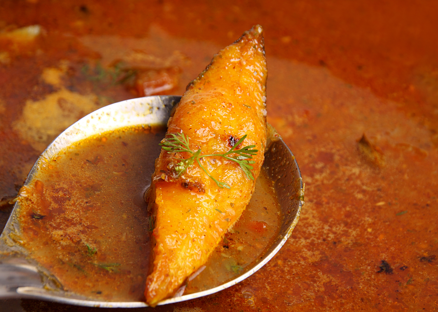 Black Pomfret Fish Curry