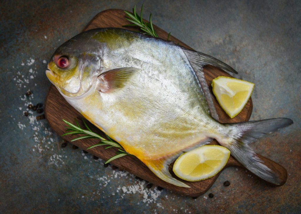 Top 10 Black Pomfret Recipes