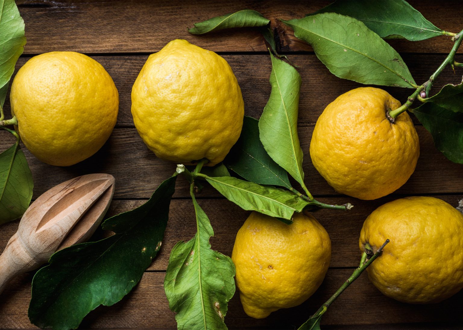 The Ultimate List of Citrus Fruits and Vegetables F and B Recipes