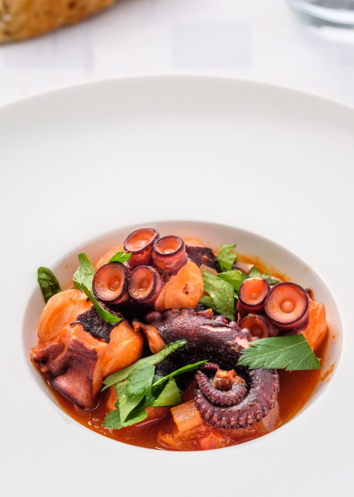 Octopus Stew Recipe, Health Benefits, Nutritional Value and More