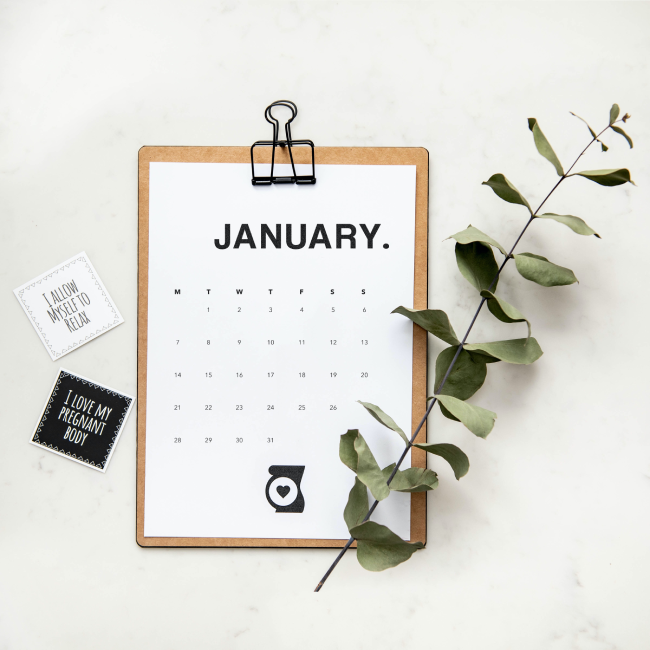 January Monthly Goals