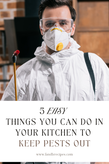 5 Easy Things You Can Do in Your Kitchen to Keep Pests Out Pin