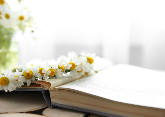 5 Spiritual Books for Beginners