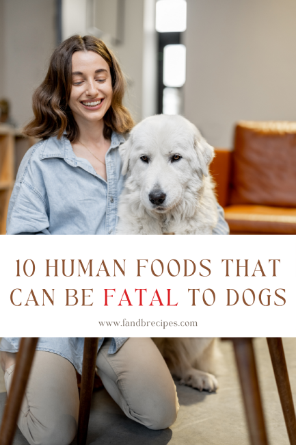 10 Human Foods That Can Be Fatal To Dogs Pin