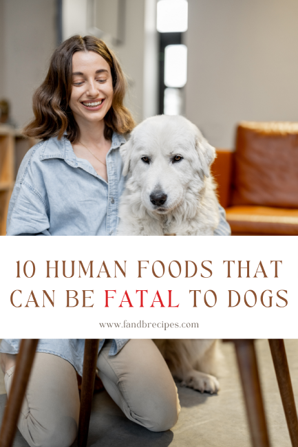 7 Human Foods That Can Be Fatal to Dogs