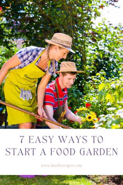 7 Easy Ways to Start a Food Garden Pin