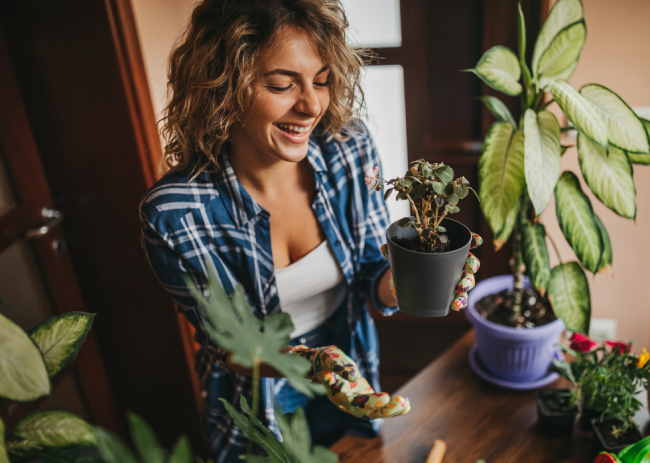 7 Easy Ways to Start a Food Garden