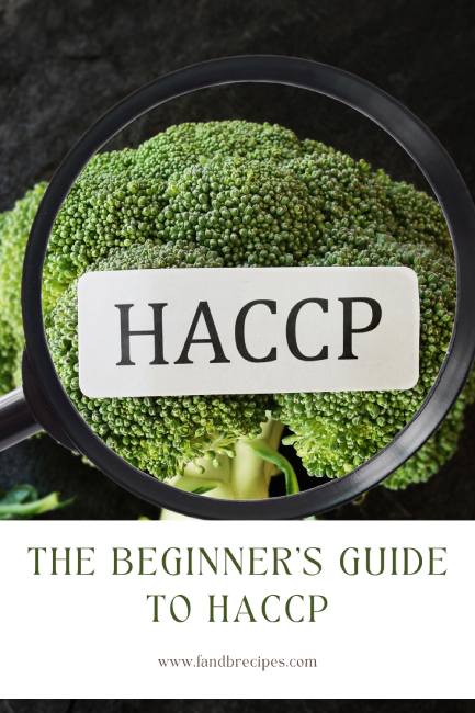 The Beginner’s Guide to HACCP Pin