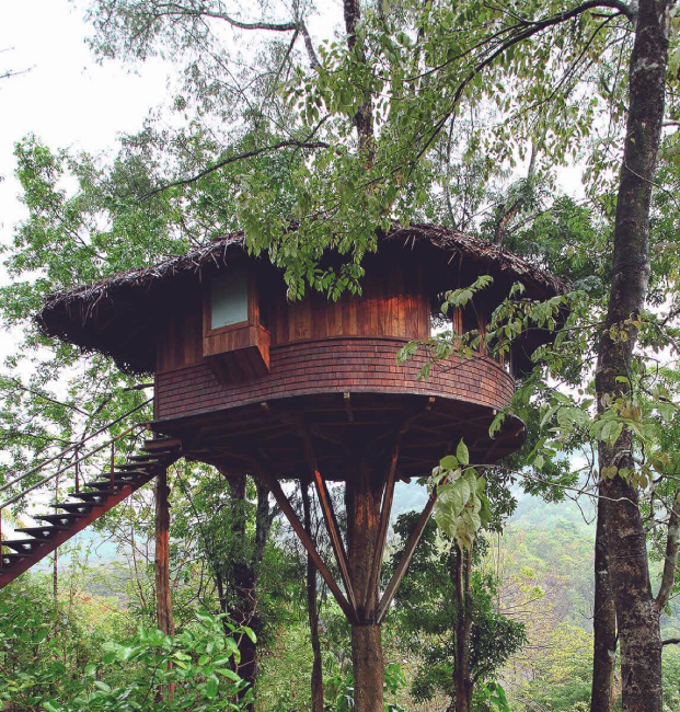 Treehouse Athirapally