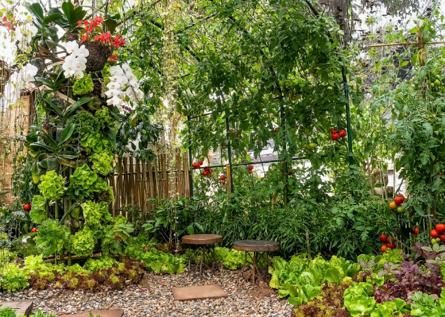 Vegetable Kitchen Garden